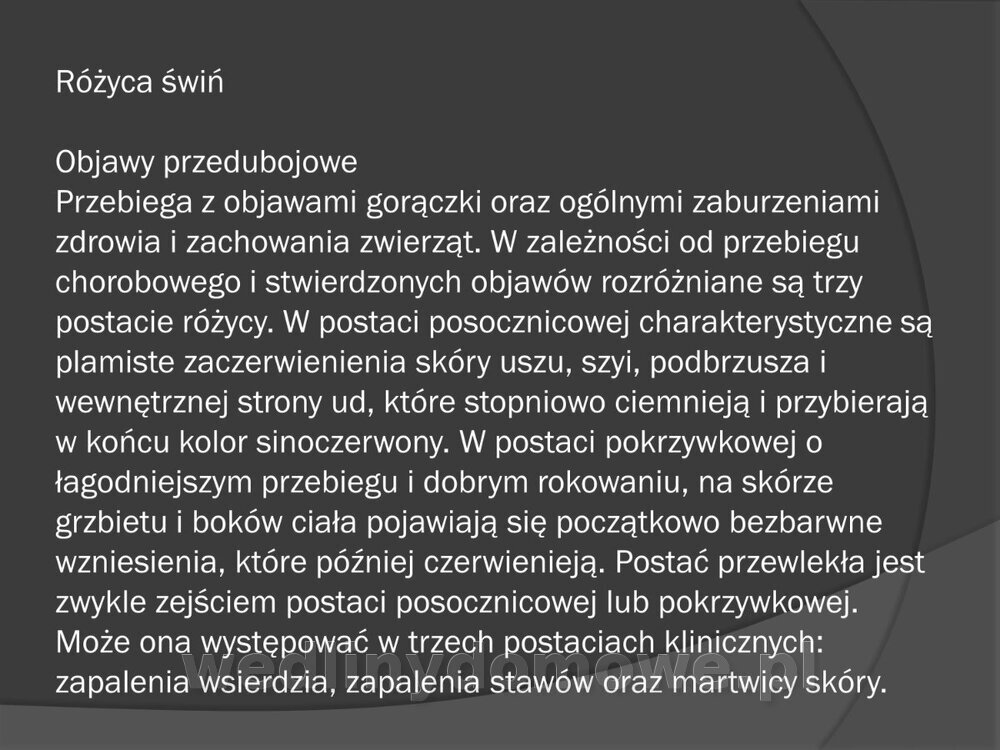 Zasady nadzoru i badania san-wet zwierząt rzeźnych i mięsa_095.jpg