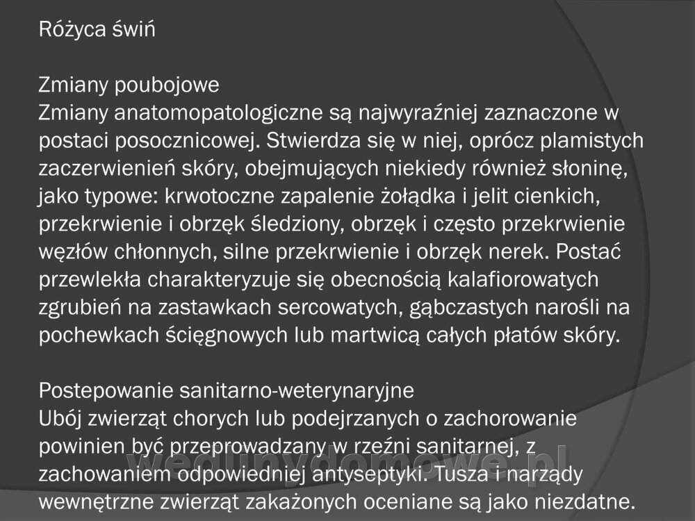 Zasady nadzoru i badania san-wet zwierząt rzeźnych i mięsa_096.jpg
