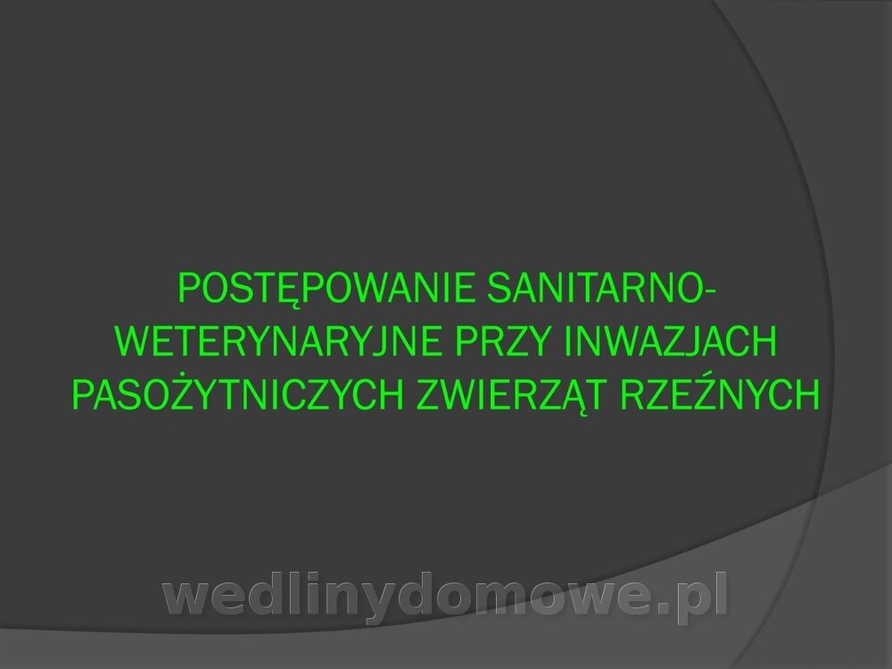 Zasady nadzoru i badania san-wet zwierząt rzeźnych i mięsa_108.jpg