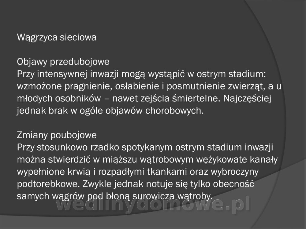 Zasady nadzoru i badania san-wet zwierząt rzeźnych i mięsa_123.jpg