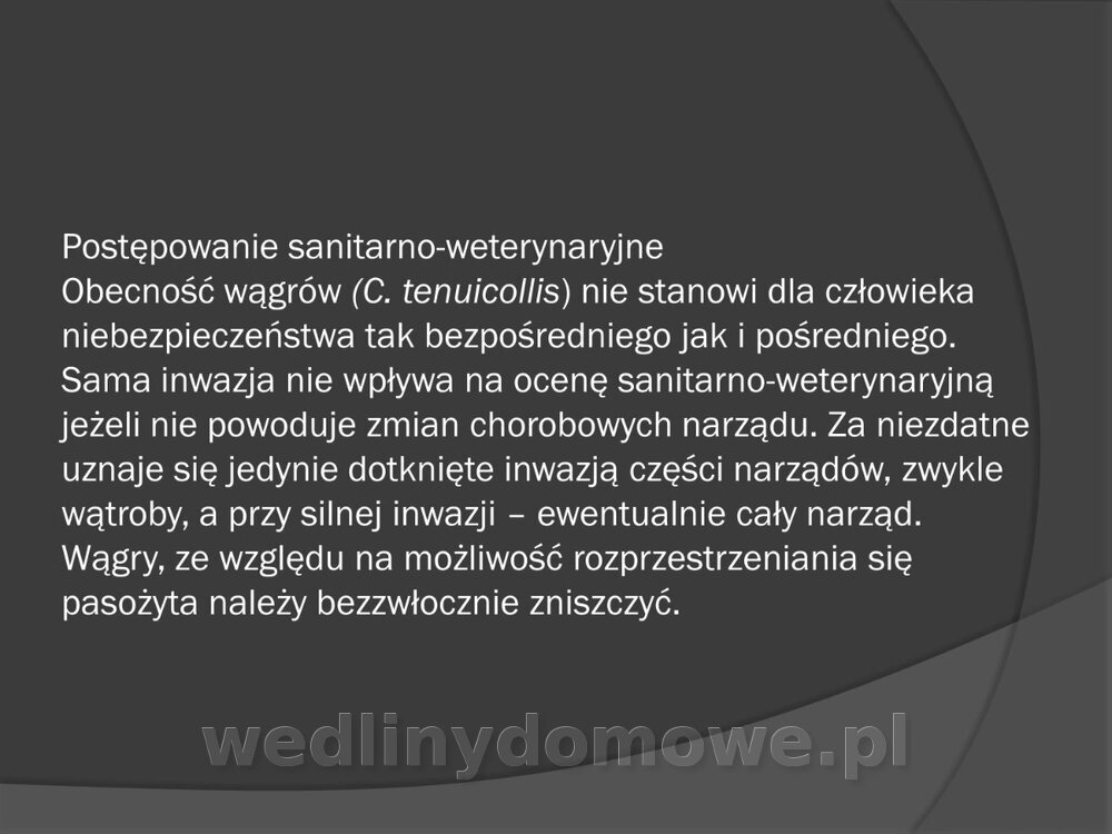 Zasady nadzoru i badania san-wet zwierząt rzeźnych i mięsa_124.jpg