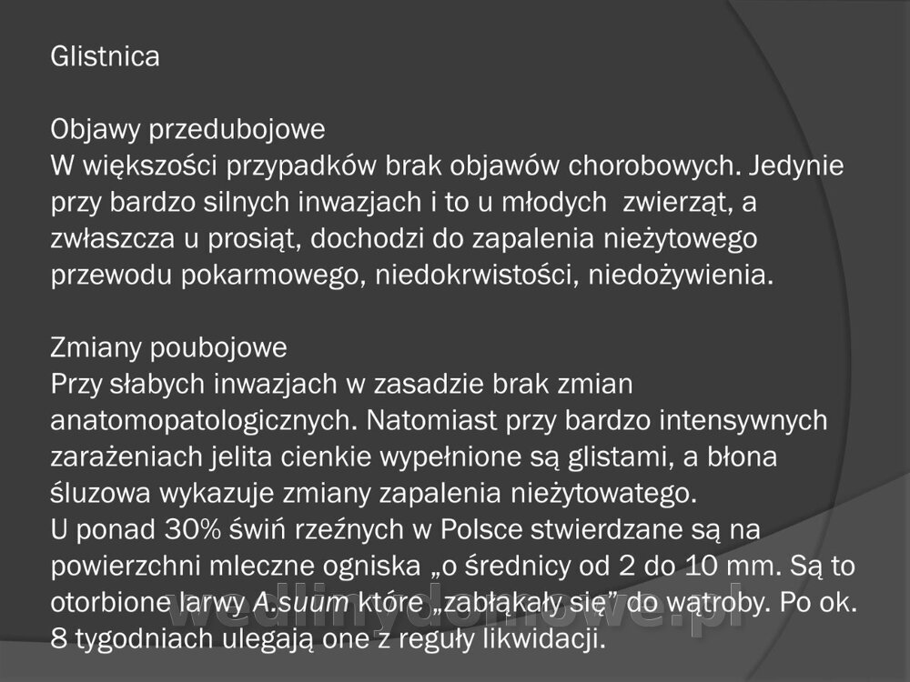 Zasady nadzoru i badania san-wet zwierząt rzeźnych i mięsa_129.jpg
