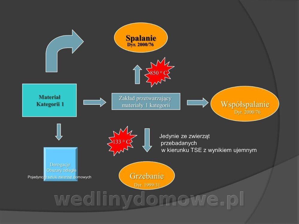 Zasady nadzoru i badania san-wet zwierząt rzeźnych i mięsa_142.jpg