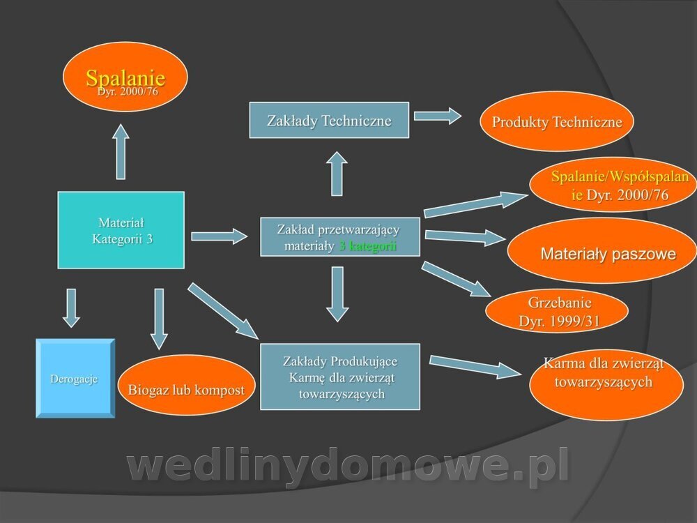 Zasady nadzoru i badania san-wet zwierząt rzeźnych i mięsa_147.jpg
