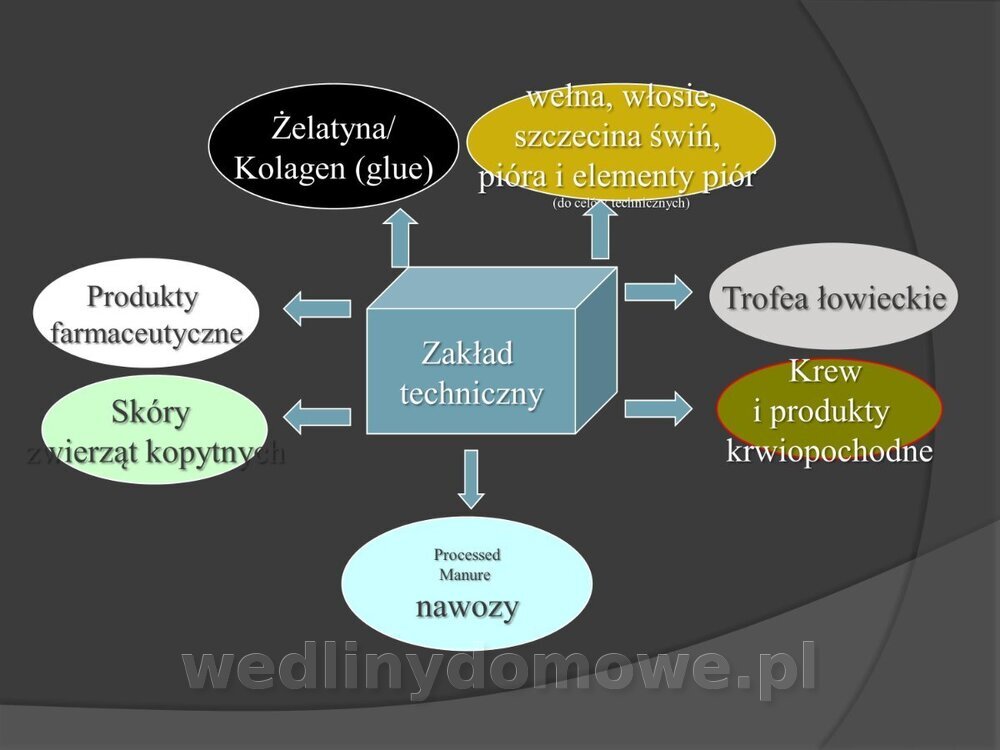 Zasady nadzoru i badania san-wet zwierząt rzeźnych i mięsa_150.jpg