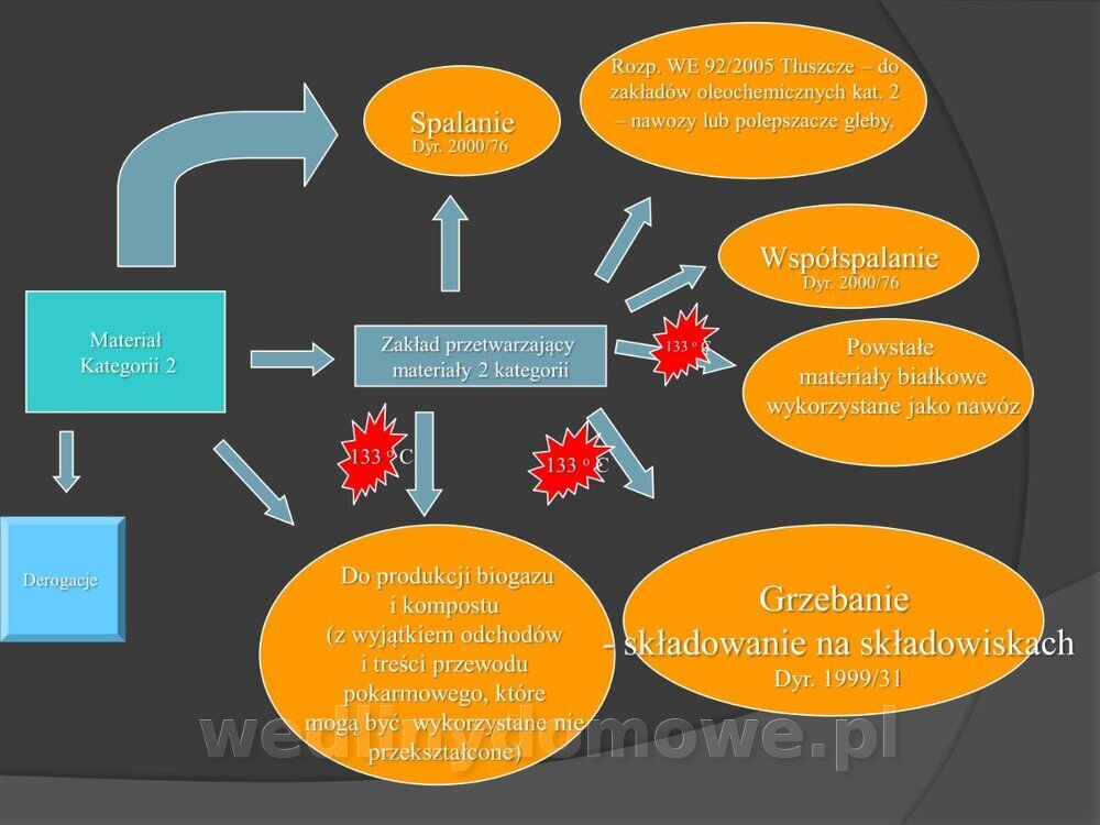 Zasady nadzoru i badania san-wet zwierząt rzeźnych i mięsa_155.jpg