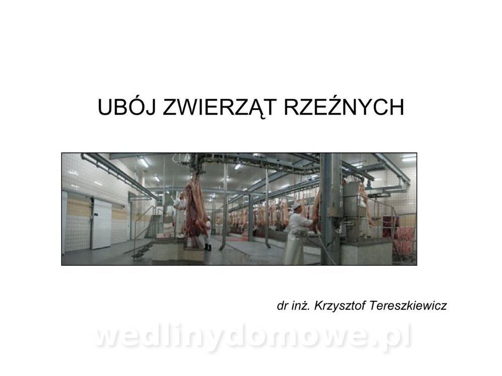 ubój zwierząt rzeźnych_01.jpg