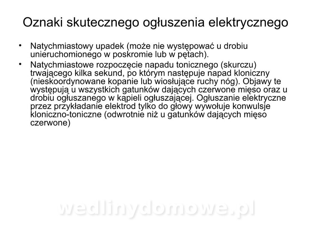 ubój zwierząt rzeźnych_18.jpg