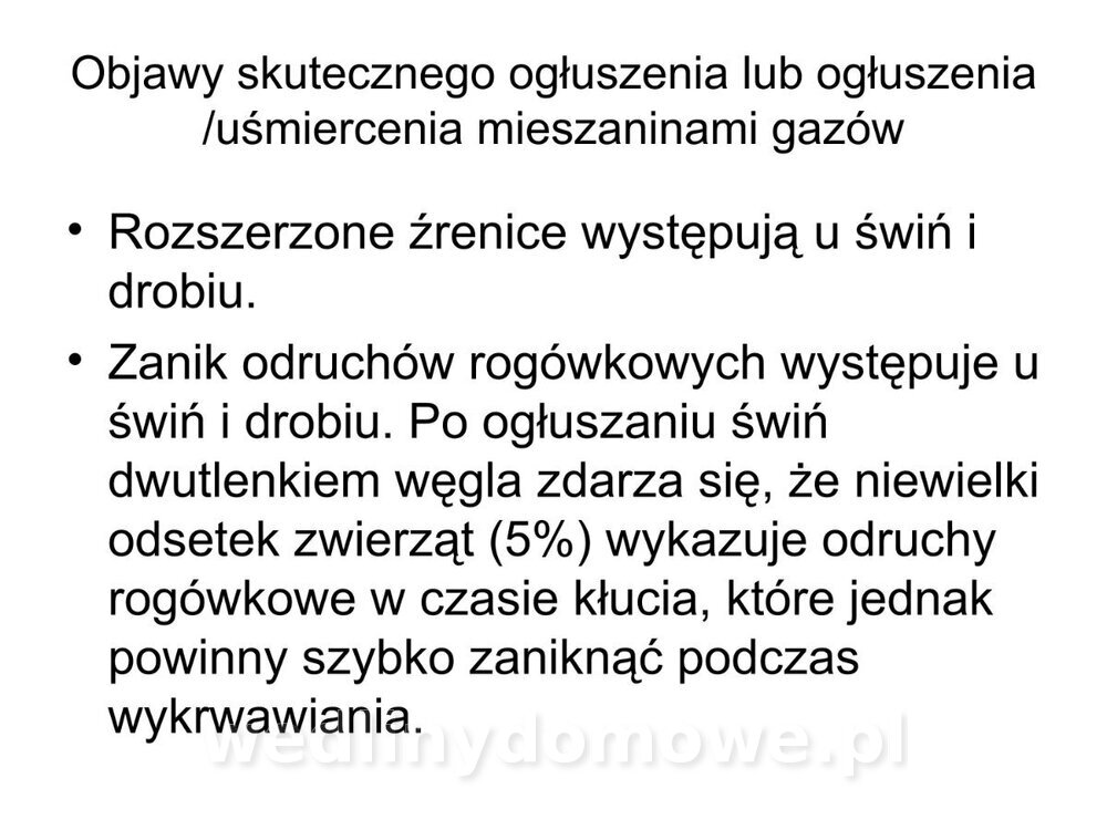 ubój zwierząt rzeźnych_19.jpg
