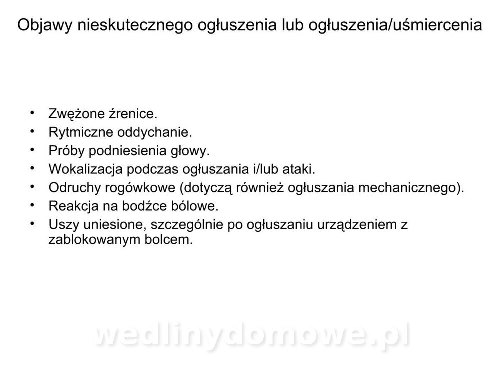 ubój zwierząt rzeźnych_20.jpg