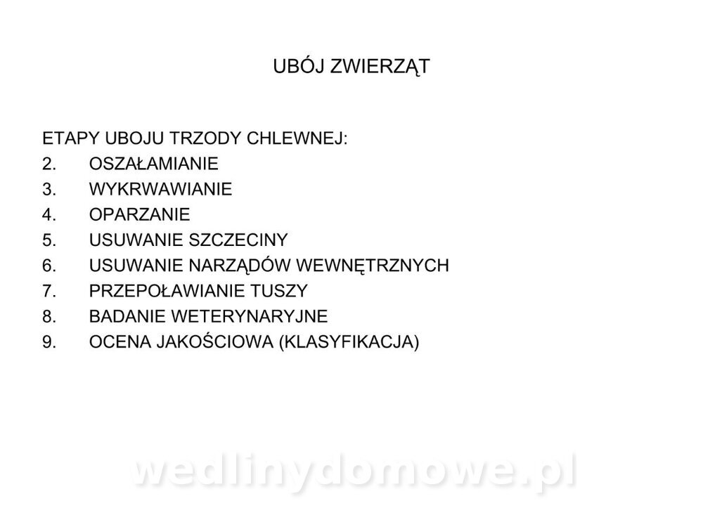 ubój zwierząt rzeźnych_26.jpg