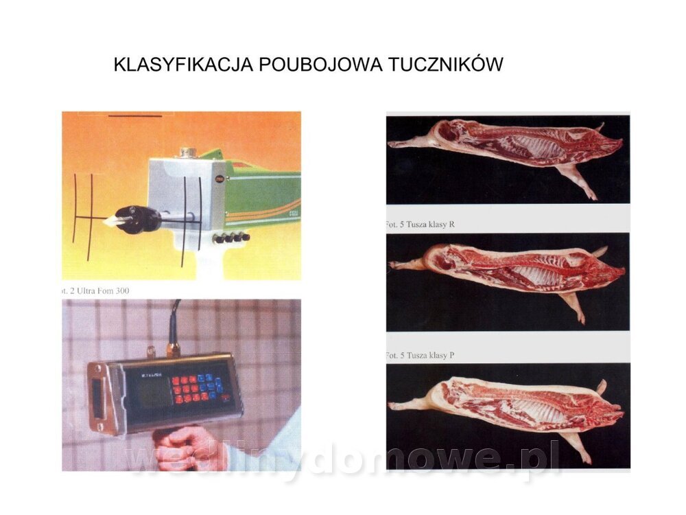 ubój zwierząt rzeźnych_30.jpg