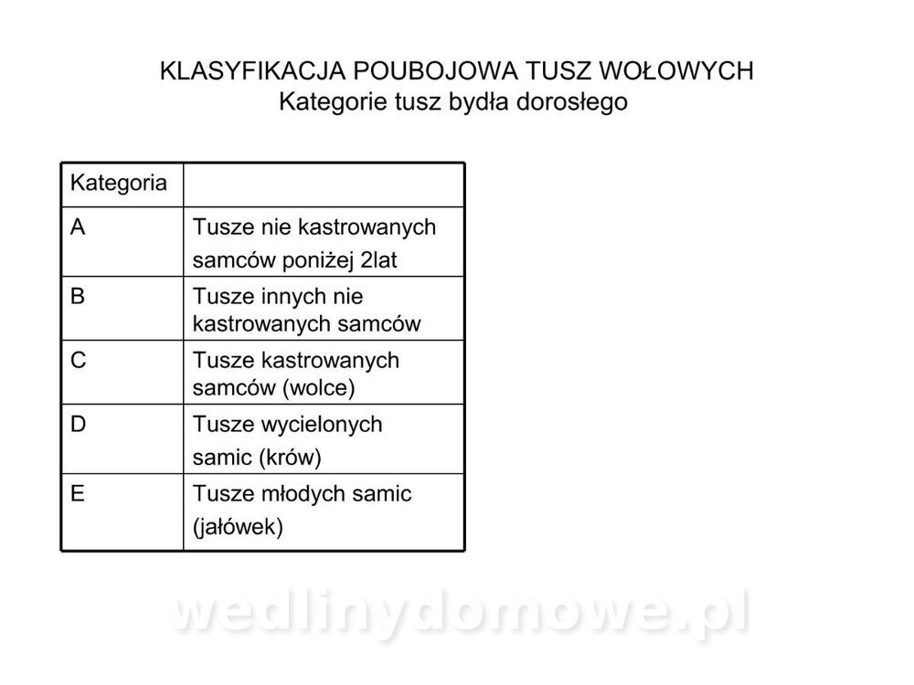ubój zwierząt rzeźnych_34.jpg