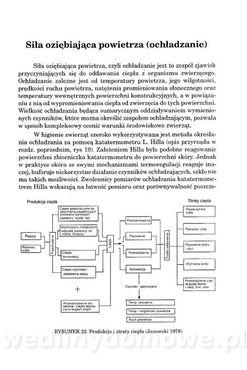 Ćwiczenia z higieny zwierząt_073.jpg