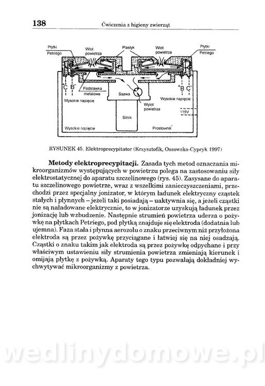 Ćwiczenia z higieny zwierząt_138.jpg
