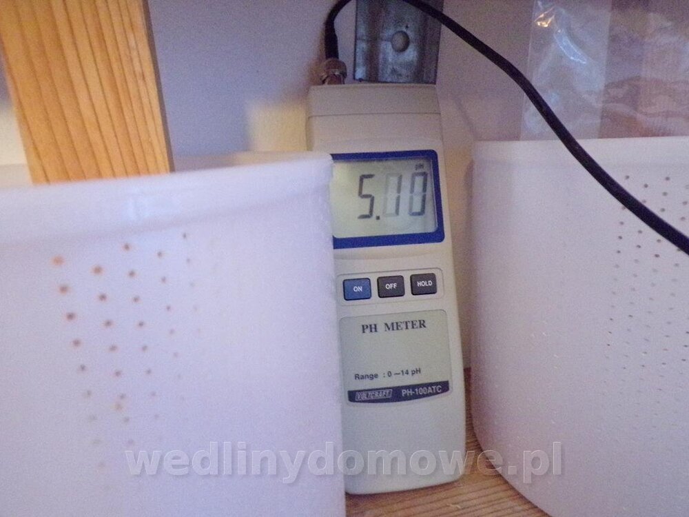 110_2051 (Copy).jpg