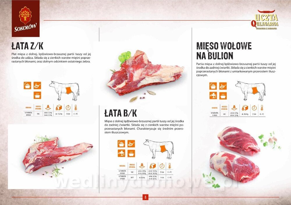 KATALOG NR 1_1_08.jpg