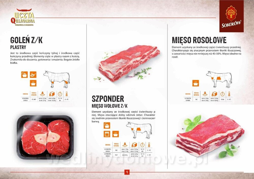 KATALOG NR 1_1_09.jpg