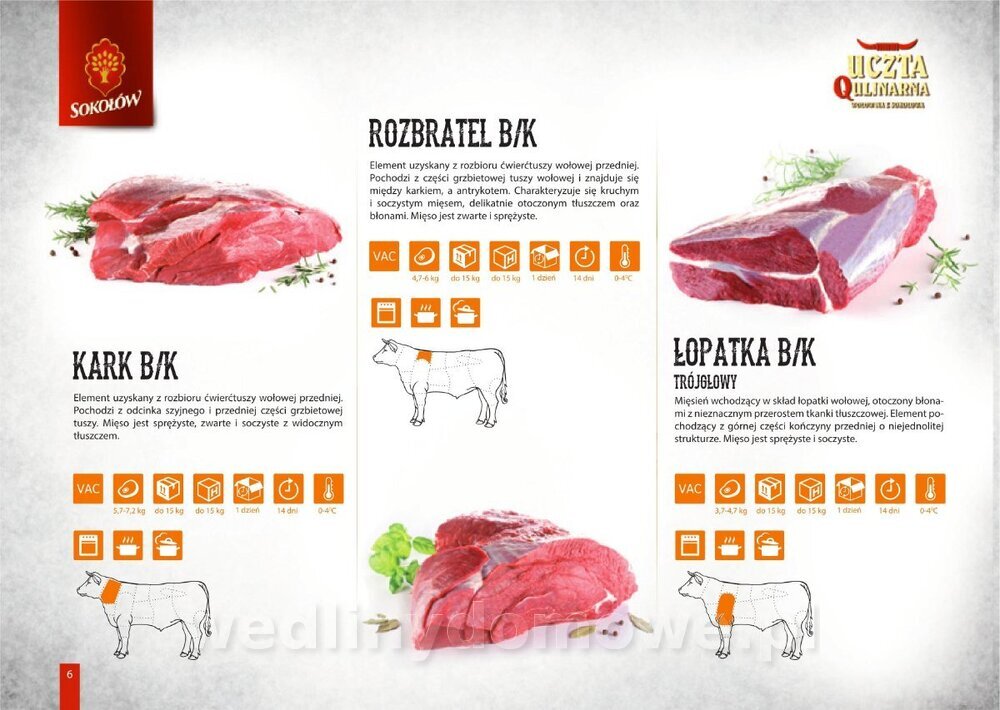 KATALOG NR 3_1_06.jpg