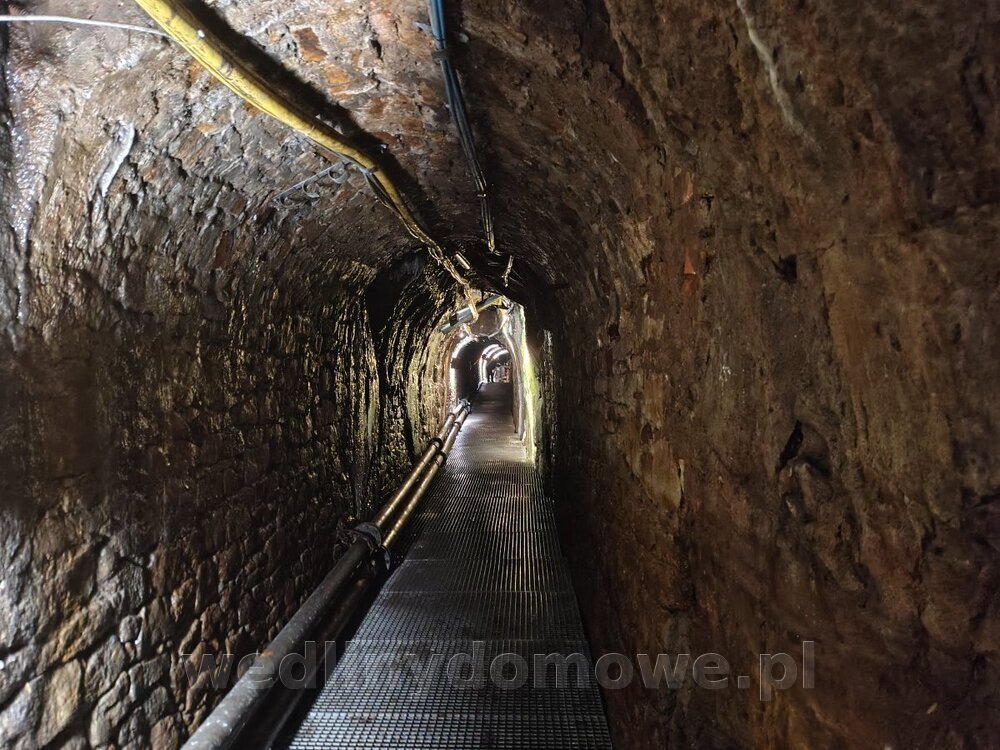 IMG_20250126_100243009_HDR.jpg