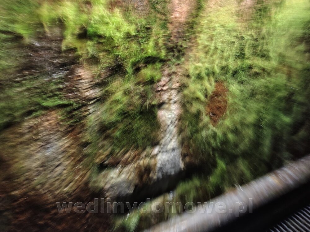 IMG_20250126_100438883_HDR.jpg