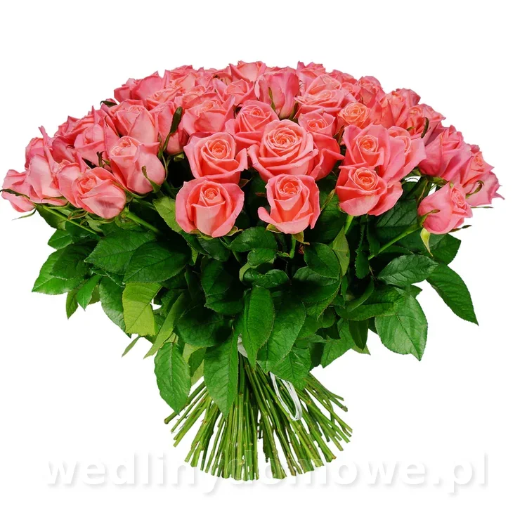Rosen-25_800x.webp