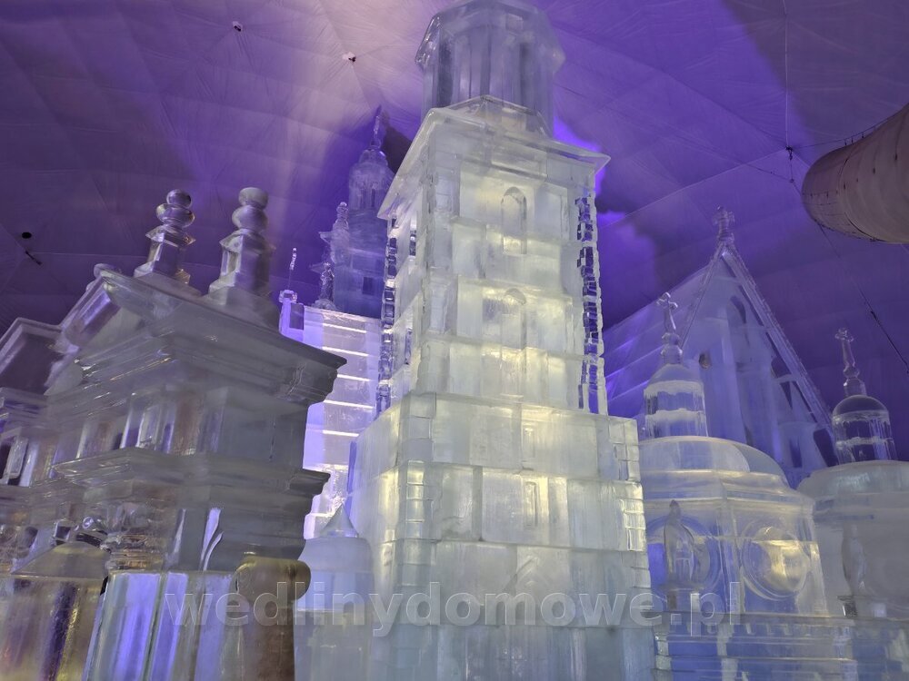 IMG_20250202_105743948_HDR.jpg