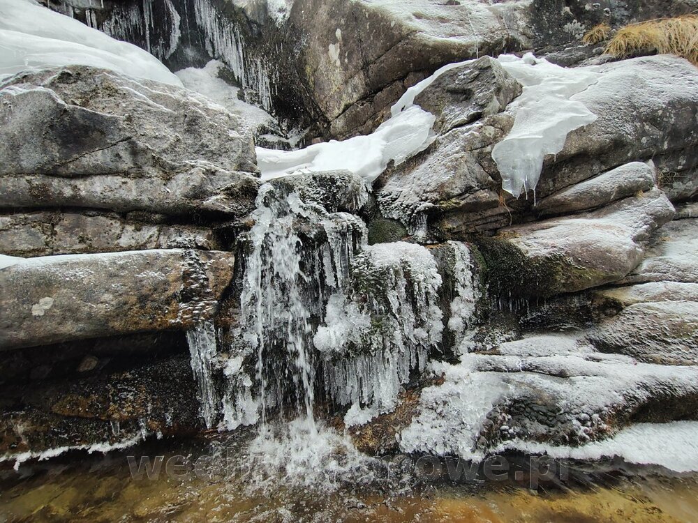 IMG_20250202_124354834_HDR.jpg