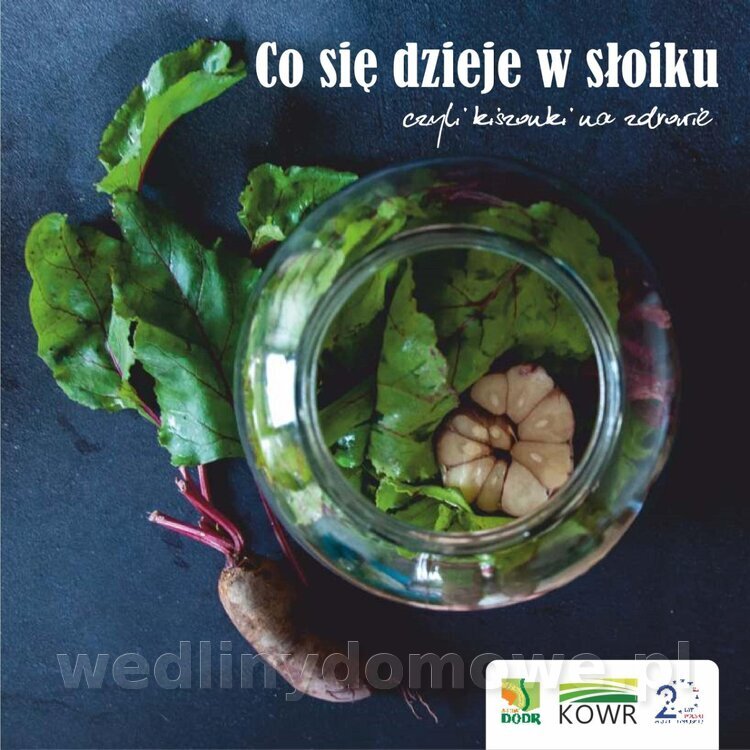Co się dzieje w słoiku, czyli kiszonki na zdrowie_01.jpg