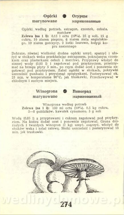 Hygina Seheń - Kuchnia rosyjska (1975)_276.jpg