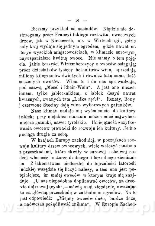 Najkożystniejsze i wszechstronne zużytkowanie owoców 1894_014.jpg
