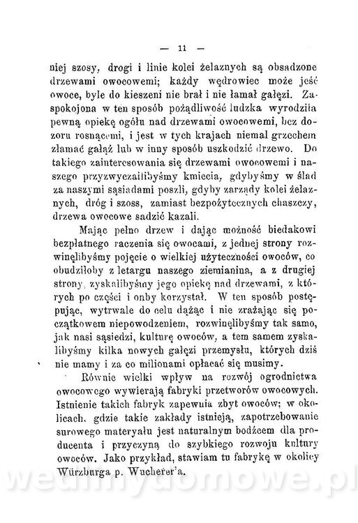 Najkożystniejsze i wszechstronne zużytkowanie owoców 1894_015.jpg