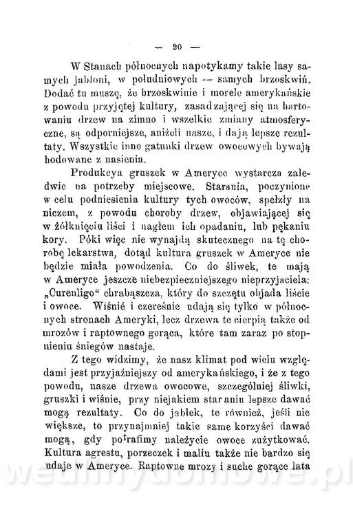 Najkożystniejsze i wszechstronne zużytkowanie owoców 1894_024.jpg
