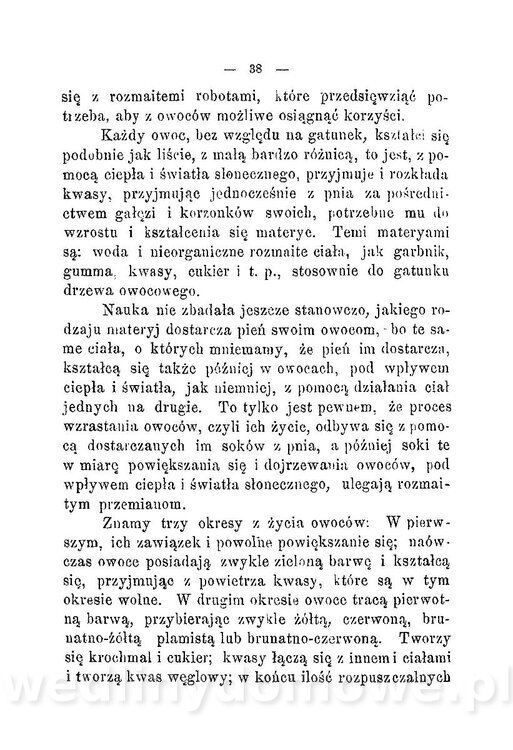 Najkożystniejsze i wszechstronne zużytkowanie owoców 1894_042.jpg