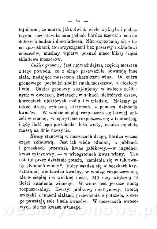 Najkożystniejsze i wszechstronne zużytkowanie owoców 1894_060.jpg