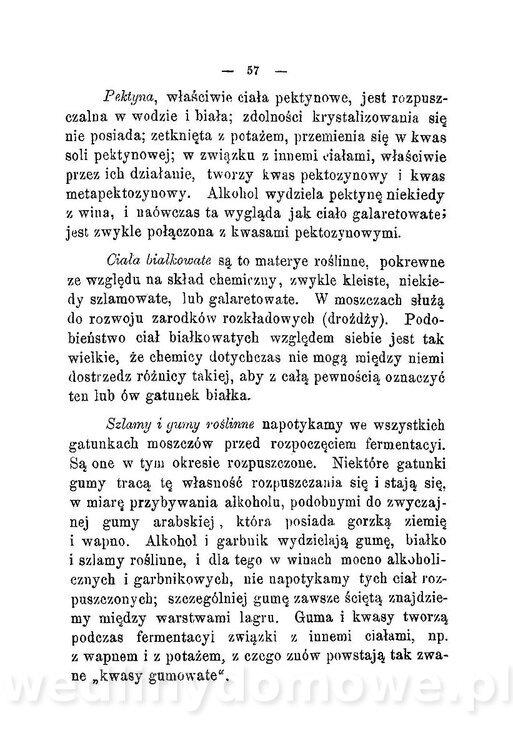 Najkożystniejsze i wszechstronne zużytkowanie owoców 1894_061.jpg