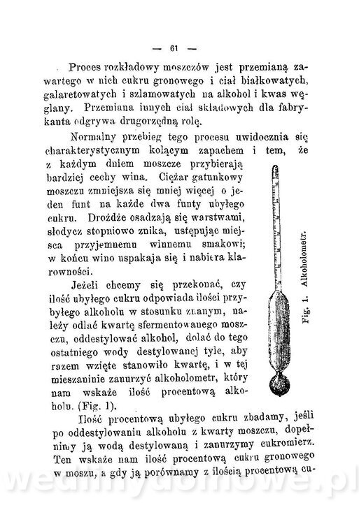 Najkożystniejsze i wszechstronne zużytkowanie owoców 1894_065.jpg