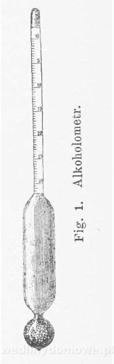 Najkożystniejsze i wszechstronne zużytkowanie owoców 1894_066.jpg