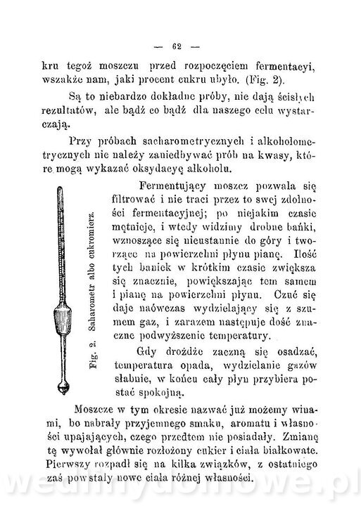 Najkożystniejsze i wszechstronne zużytkowanie owoców 1894_067.jpg
