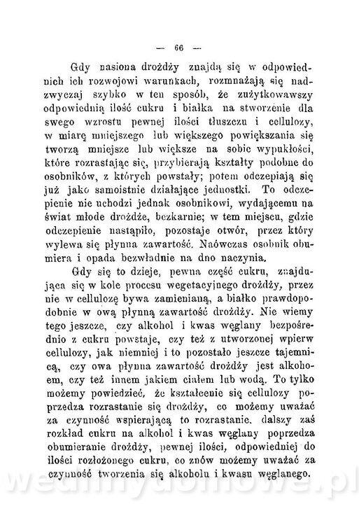 Najkożystniejsze i wszechstronne zużytkowanie owoców 1894_072.jpg