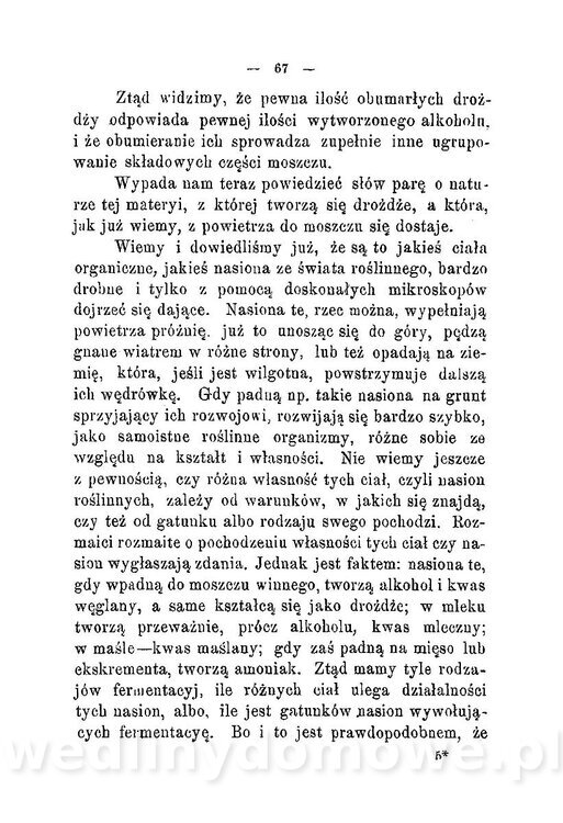 Najkożystniejsze i wszechstronne zużytkowanie owoców 1894_073.jpg