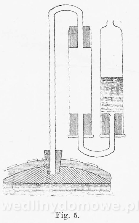 Najkożystniejsze i wszechstronne zużytkowanie owoców 1894_085.jpg