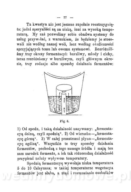 Najkożystniejsze i wszechstronne zużytkowanie owoców 1894_086.jpg