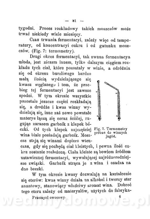 Najkożystniejsze i wszechstronne zużytkowanie owoców 1894_091.jpg