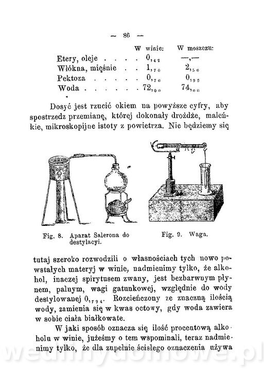 Najkożystniejsze i wszechstronne zużytkowanie owoców 1894_097.jpg