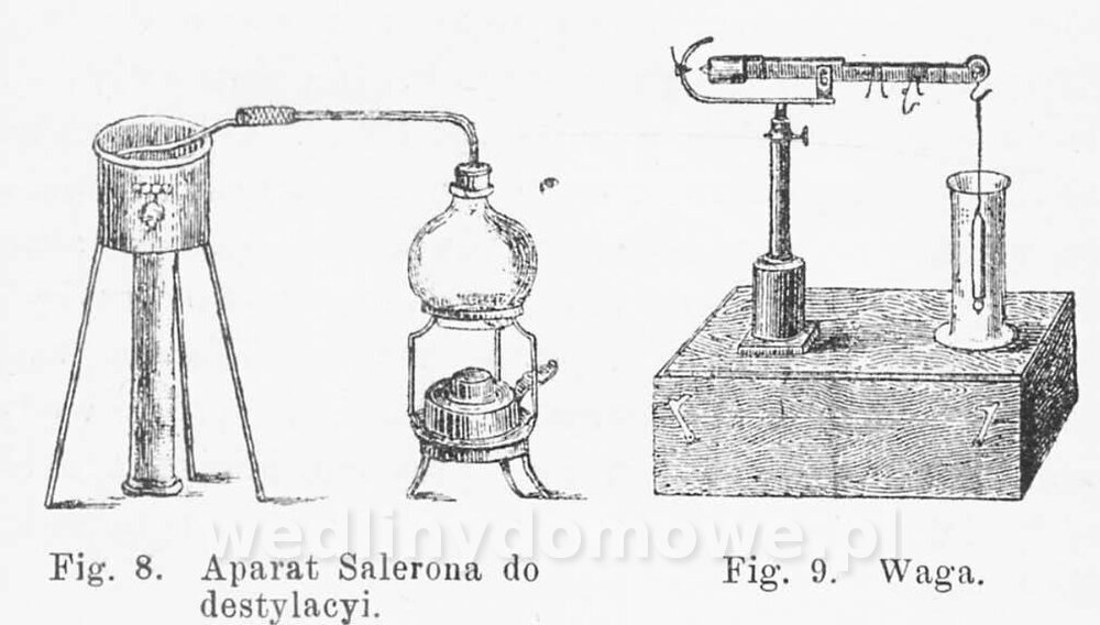 Najkożystniejsze i wszechstronne zużytkowanie owoców 1894_098.jpg