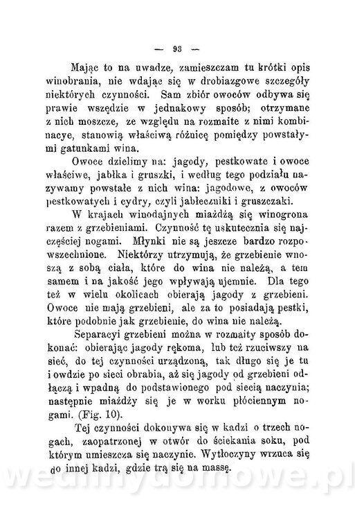 Najkożystniejsze i wszechstronne zużytkowanie owoców 1894_105.jpg