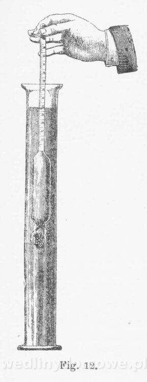Najkożystniejsze i wszechstronne zużytkowanie owoców 1894_115.jpg
