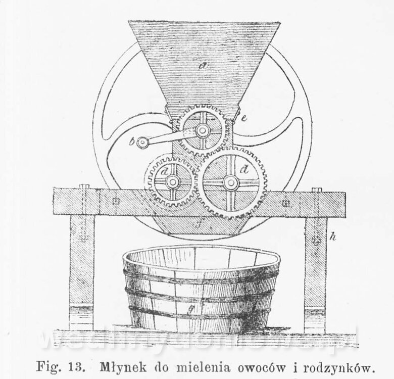 Najkożystniejsze i wszechstronne zużytkowanie owoców 1894_123.jpg