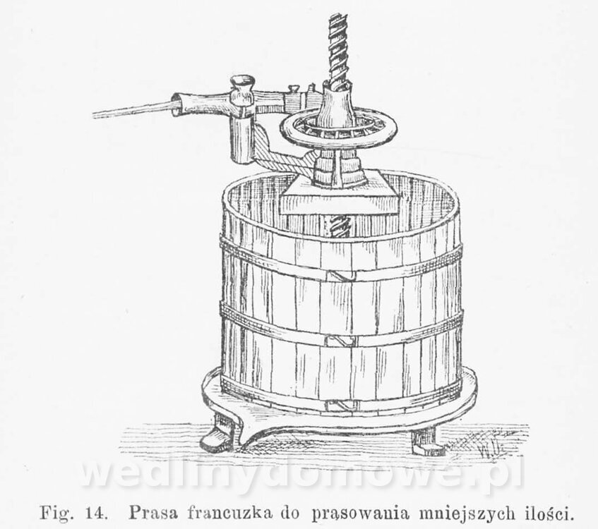 Najkożystniejsze i wszechstronne zużytkowanie owoców 1894_125.jpg